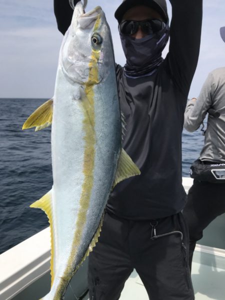 アマテラス 釣果