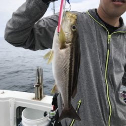 アマテラス 釣果