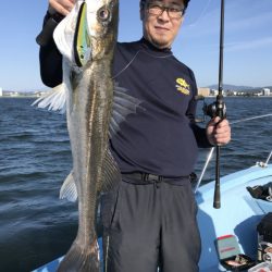 アマテラス 釣果