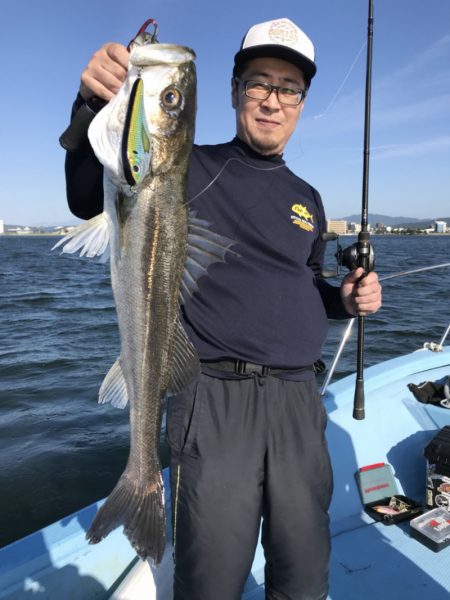 アマテラス 釣果