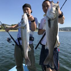 アマテラス 釣果