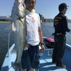 アマテラス 釣果