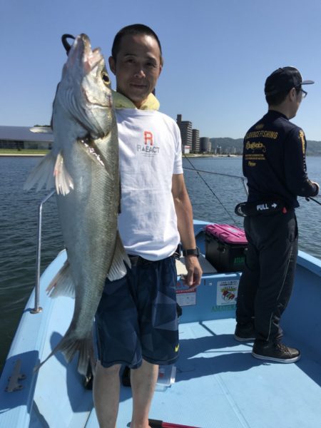 アマテラス 釣果