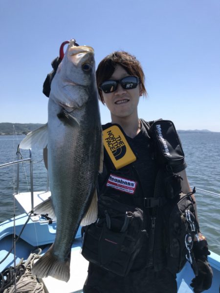 アマテラス 釣果