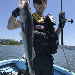 アマテラス 釣果