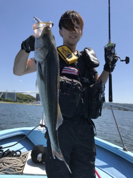 アマテラス 釣果