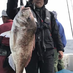 アマテラス 釣果