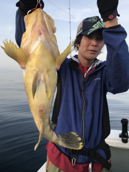 アマテラス 釣果