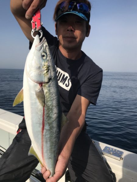 アマテラス 釣果