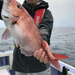 新幸丸 釣果