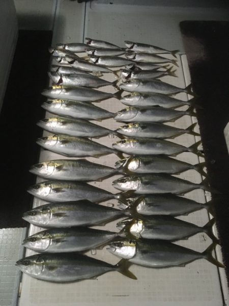 エムズジャーク（M’s JERK） 釣果