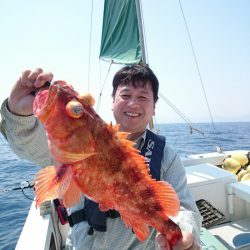 エンペラー 釣果