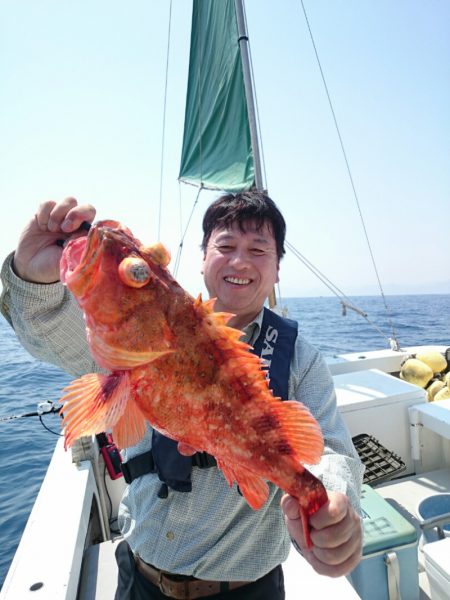 エンペラー 釣果