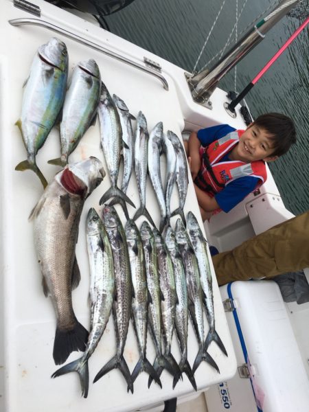 うさぎ丸 釣果