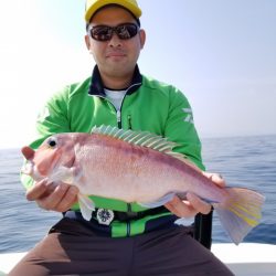 アマテラス 釣果