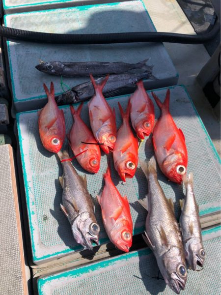 ＴＡＲＯＭＡＲＵ 釣果