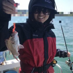 遊漁船メテオ 釣果