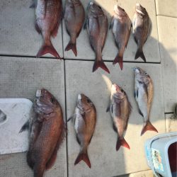 遊漁船メテオ 釣果