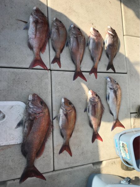 遊漁船メテオ 釣果