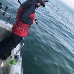 遊漁船メテオ 釣果