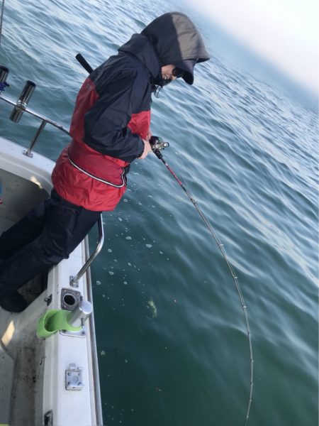 遊漁船メテオ 釣果