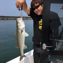 うさぎ丸 釣果