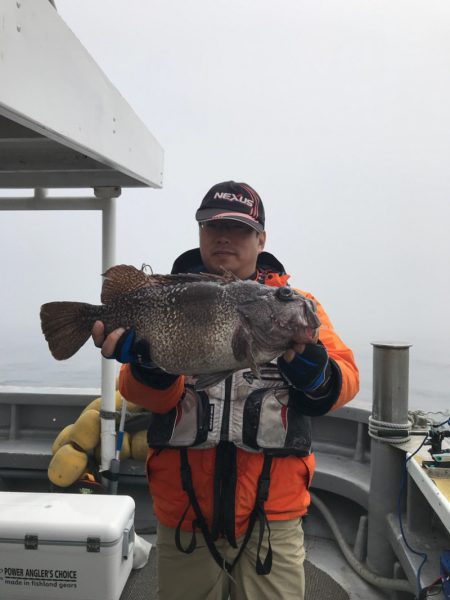 シーランチ 釣果