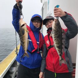 シーランチ 釣果