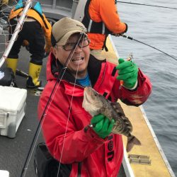 シーランチ 釣果