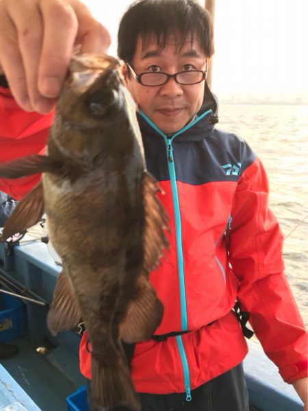 ヤザワ渡船 釣果