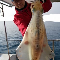 ソルトウォーターガイドフレンズ 釣果