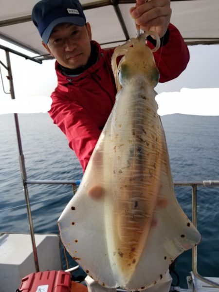 ソルトウォーターガイドフレンズ 釣果