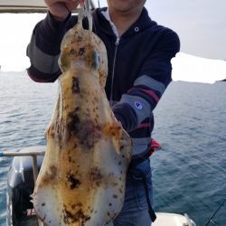 ソルトウォーターガイドフレンズ 釣果