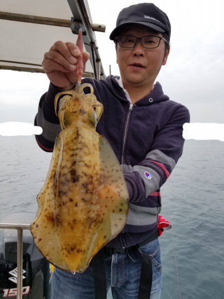 ソルトウォーターガイドフレンズ 釣果