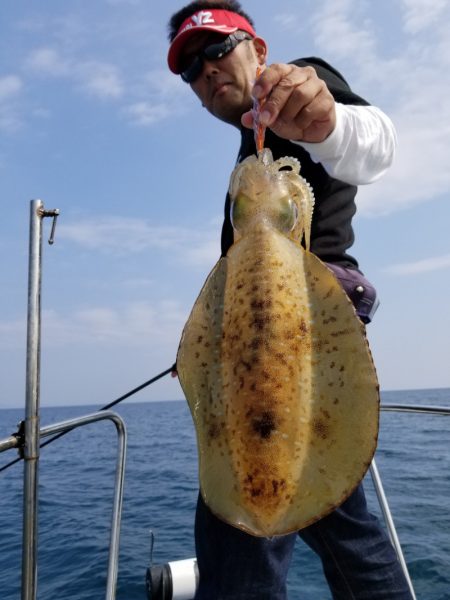 ソルトウォーターガイドフレンズ 釣果