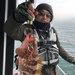 遊漁船メテオ 釣果