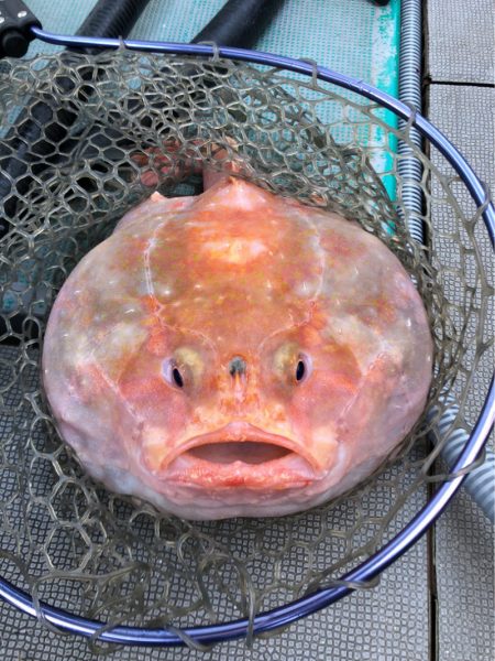 ＴＡＲＯＭＡＲＵ 釣果