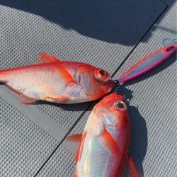 ＴＡＲＯＭＡＲＵ 釣果