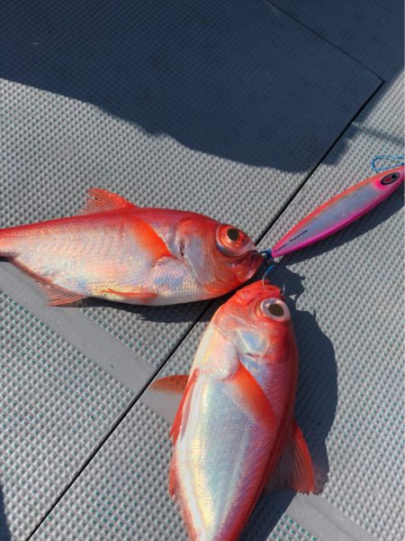 ＴＡＲＯＭＡＲＵ 釣果