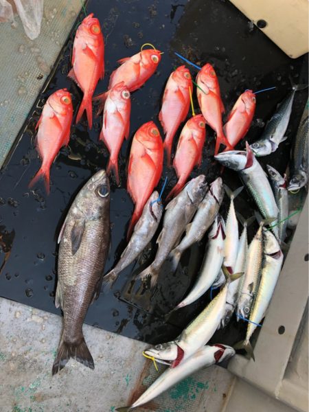 ＴＡＲＯＭＡＲＵ 釣果