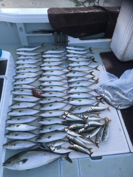 エムズジャーク（M's JERK…