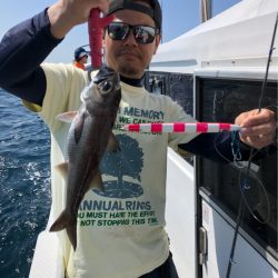 ＴＡＲＯＭＡＲＵ 釣果