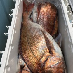 第二八坂丸 釣果