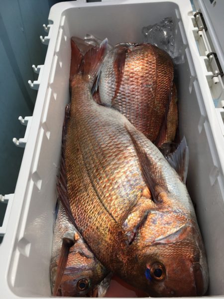 第二八坂丸 釣果