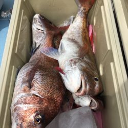 第二八坂丸 釣果