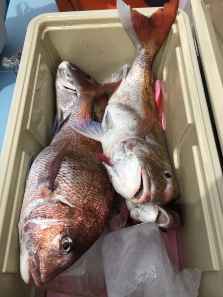 第二八坂丸 釣果