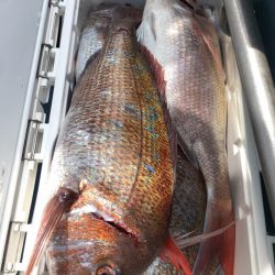 第二八坂丸 釣果