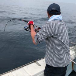 あみや渡船 JIGBOY 釣果