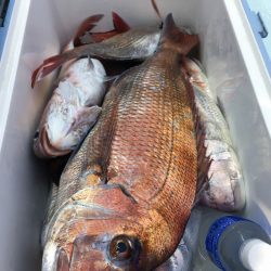 第二八坂丸 釣果