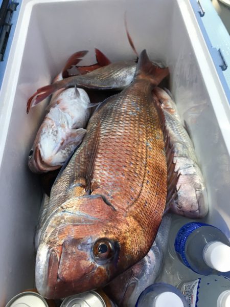 第二八坂丸 釣果